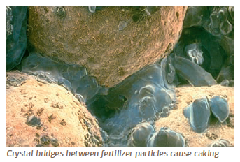 Crystals bridges between fertiliser particles cause caking
