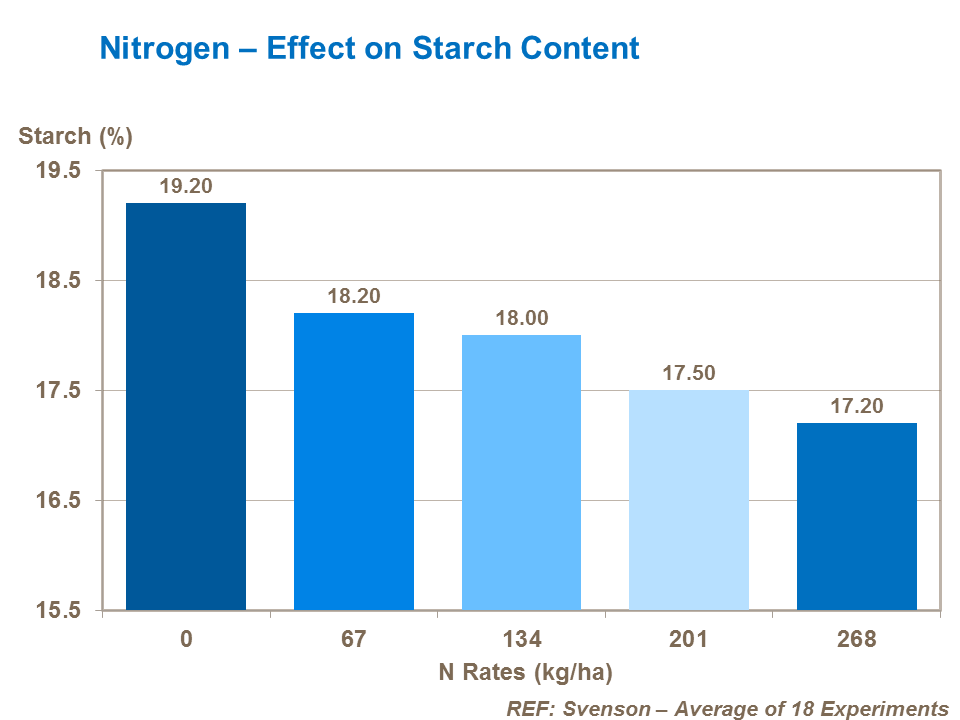 Nitrogen effect on starch content of potatoes