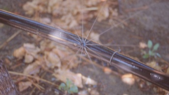 Microjet