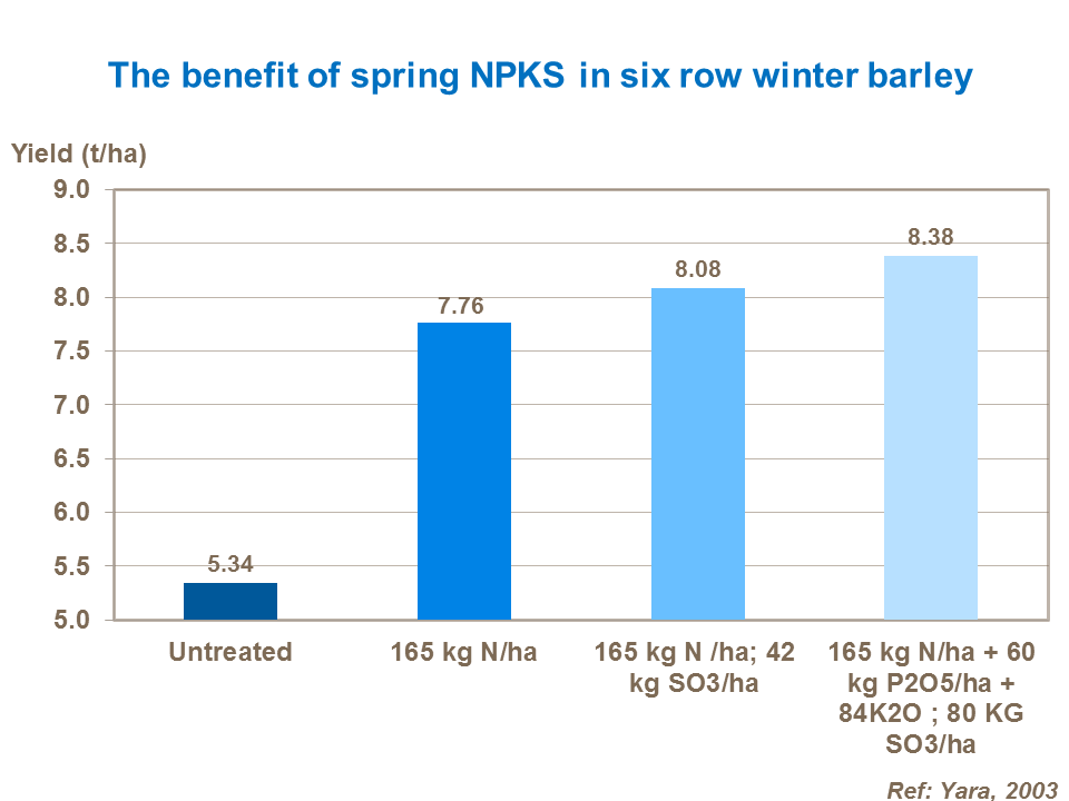 The benefit of spring NPKS in six row winter barley