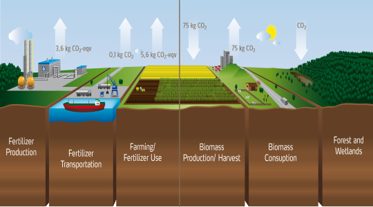 Life cycle analysis of ammonium nitrate