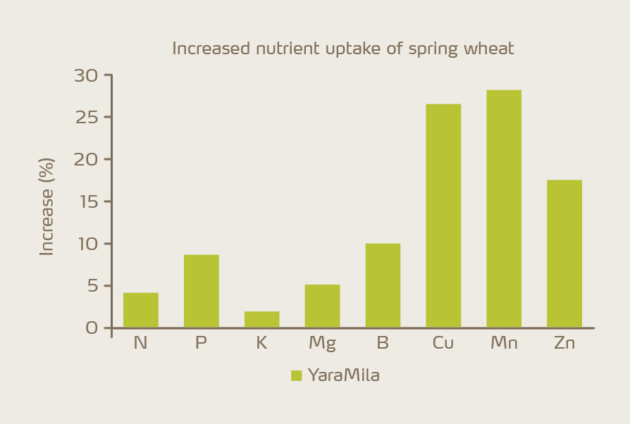 Figure 5: Increase of nutrient uptake after application of compound NPK as compared to a bulk blend comprising ammonium nitrate DAP and MOP.