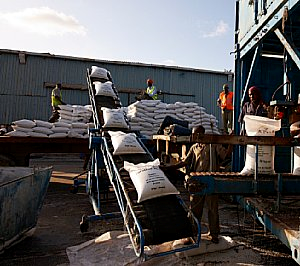 15 IMAGE fertiliser bags