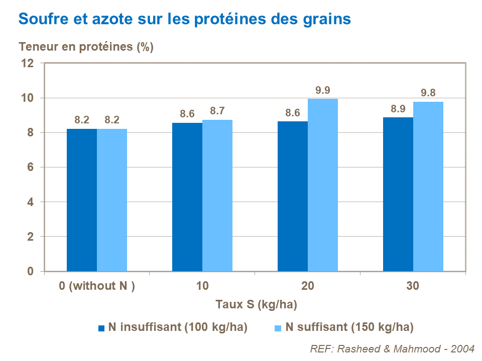 FR - S and N on corn grain protein.png