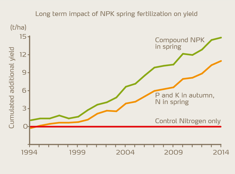 Figure 1: Grain yield increases if an adequate P level is maintained. Application in spring is more efficient than in autumn. Mean of 5 winter wheat trials, Yara field trials Germany.