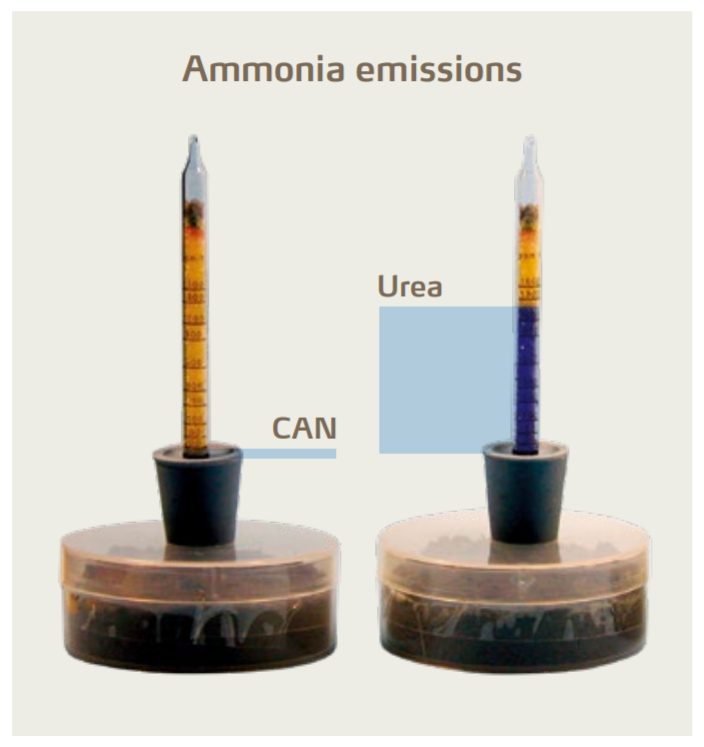 Figure 6: The Yara volatilization kit indicates volatilization losses by turning the yellow indicator to blue when it gets in contact with ammonia emitted from fertilizer.
