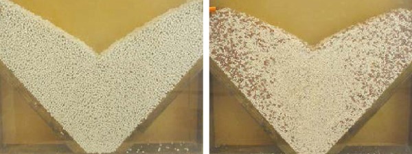 Figure 6: Segregation of blended NPKs (right) compared to compound NPKs (left).