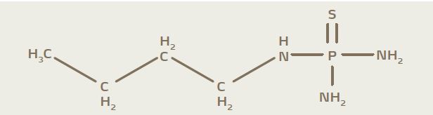 Molecular formula of NBPT