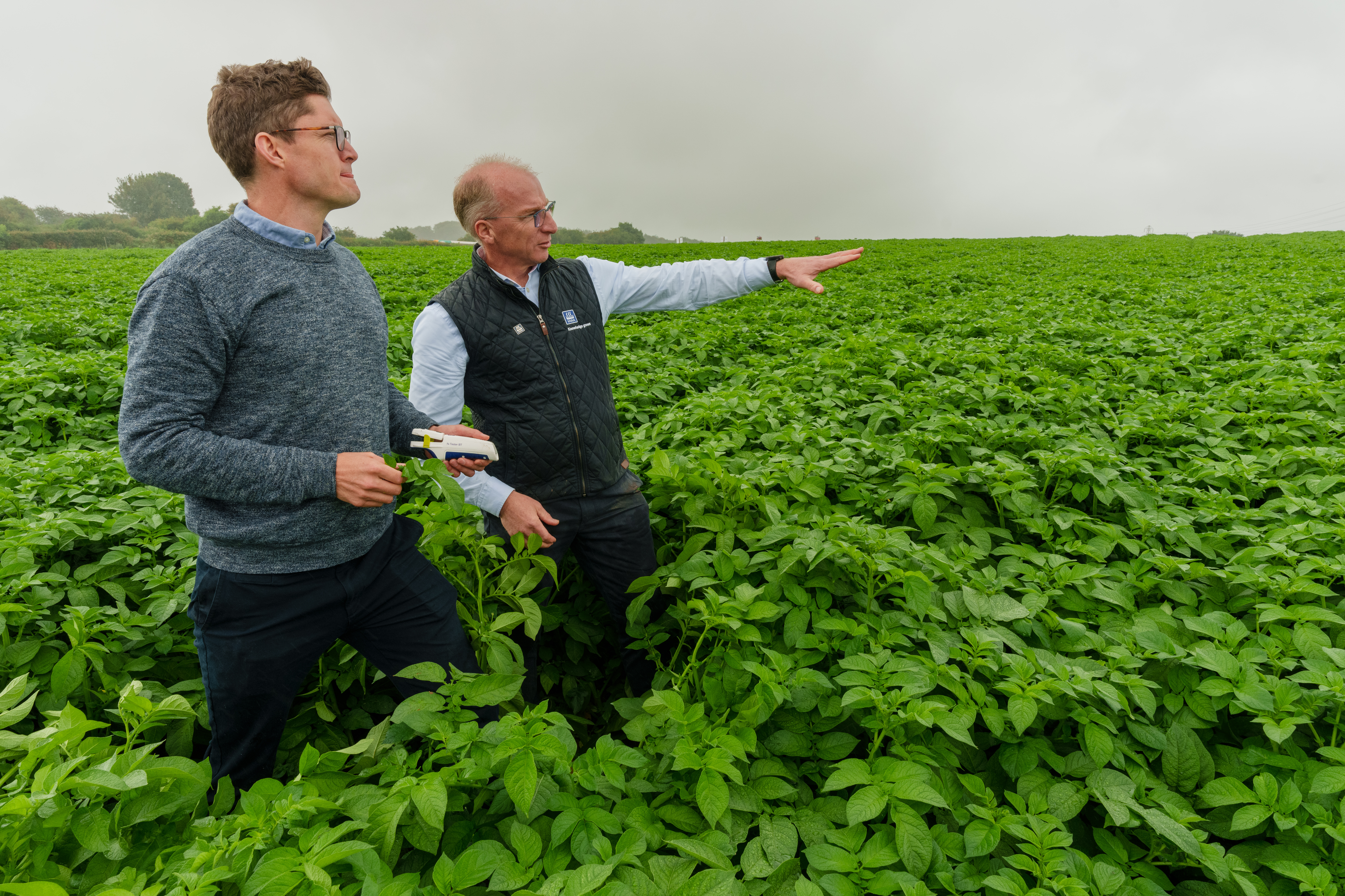 Yara Climate Choice Fertilizer