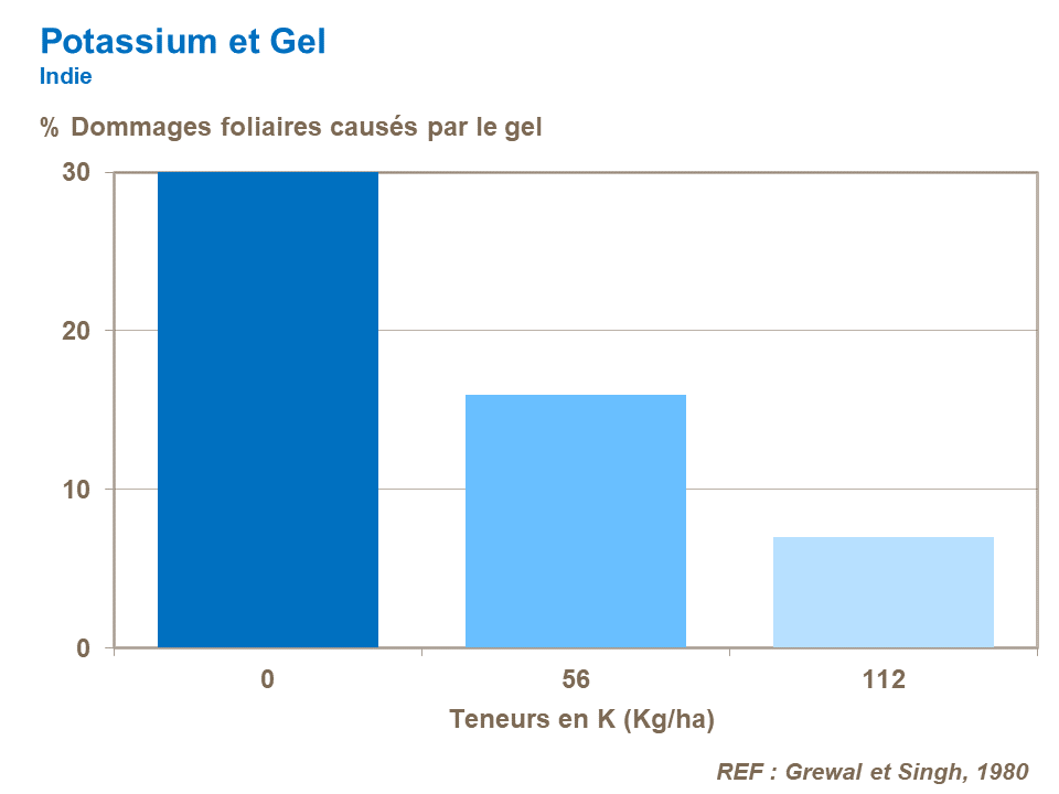 FR-potassium and frost damage.png