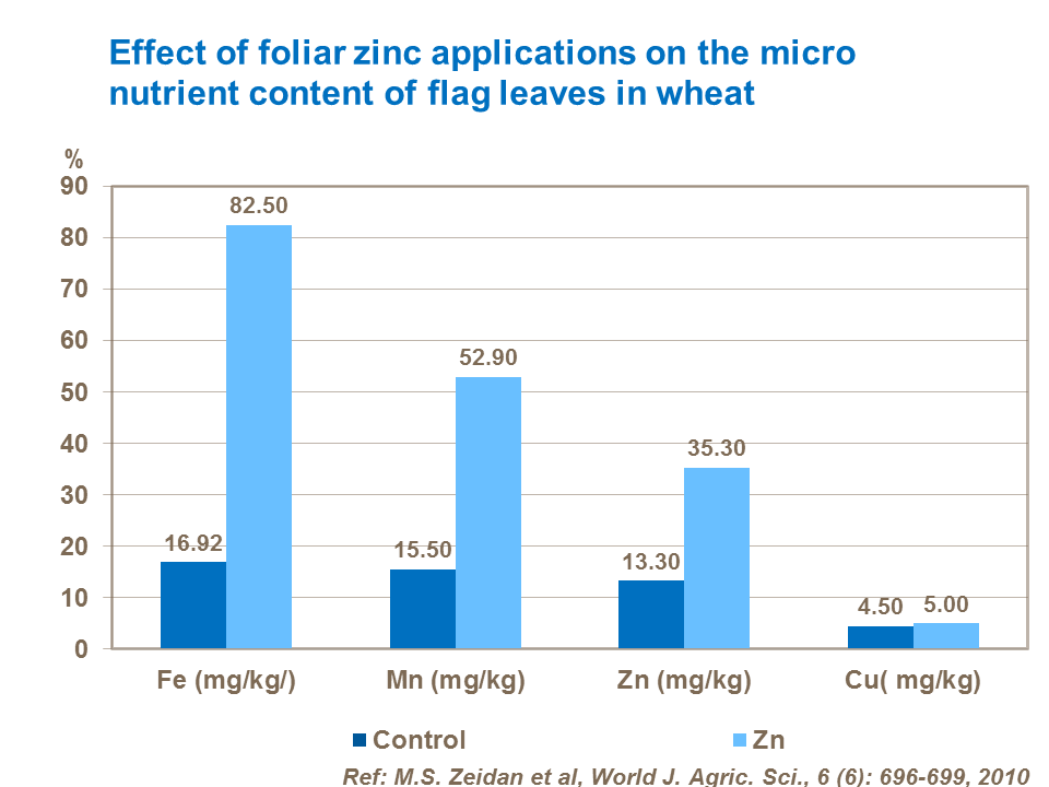 Effect of foliar zinc applications on the micro nutrient content of flag leaves in wheat