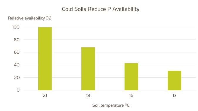 P avalibility vs soil temp.JPG