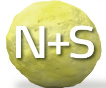 N + S granule
