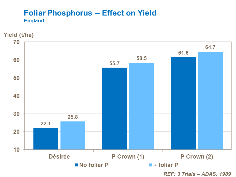 Foliar phosphorus - Effect on potato yield