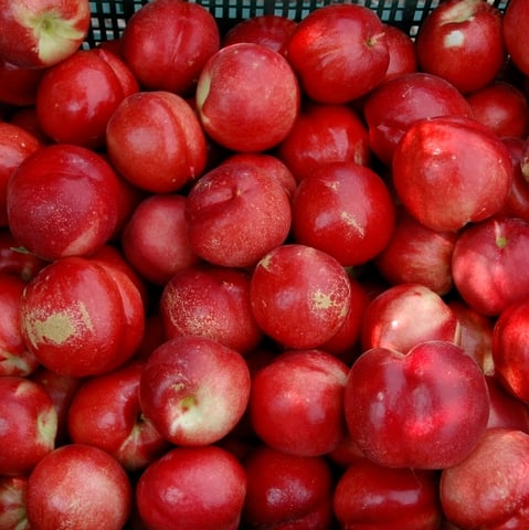 Stone fruit